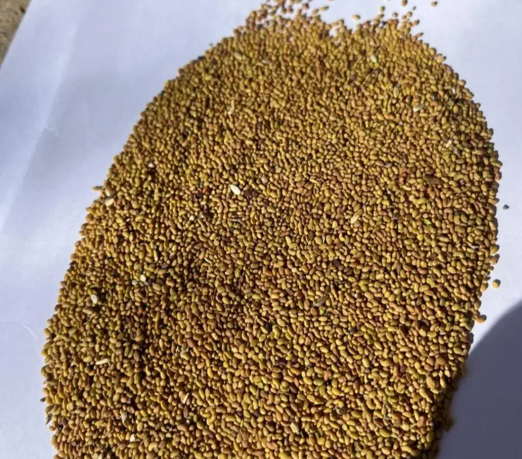 بذر یونجه|خدمات باغبانی و درختکاری|بجنورد, |دیوار