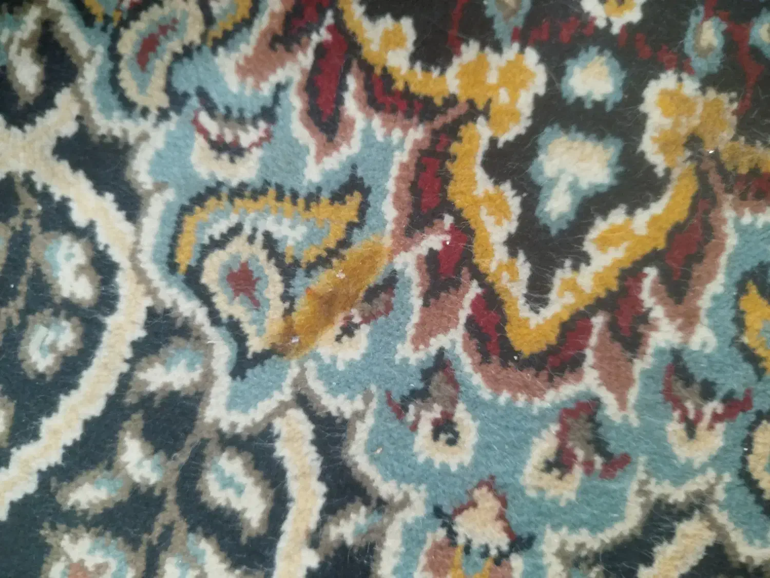 فرش 12 متری|فرش|مشهد, انصار|دیوار