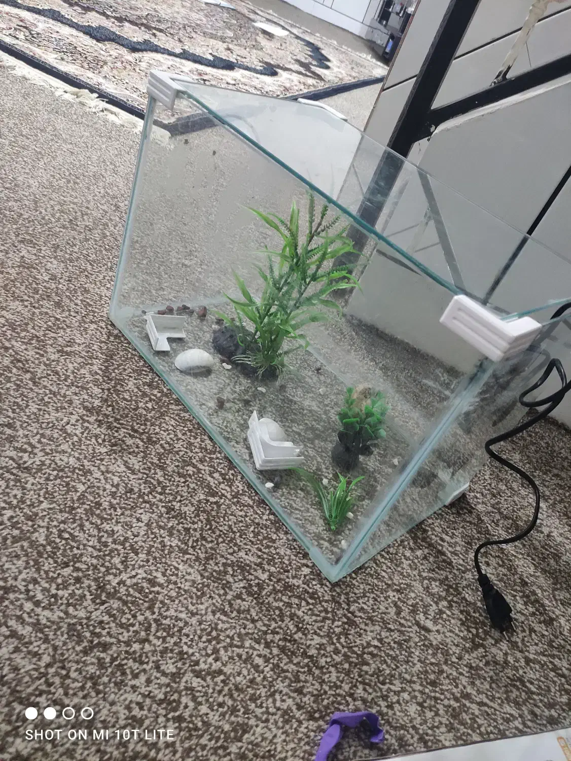 آکواریوم و بخاری ماهی|ماهی|دزفول, |دیوار