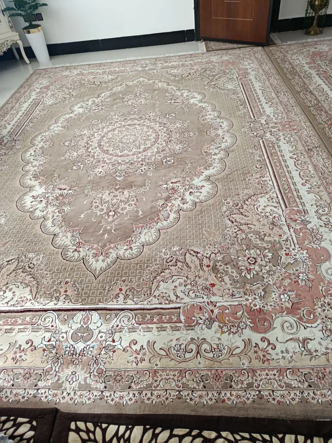 فرش گردویی ۱۲ متری|فرش|نورآباد, |دیوار