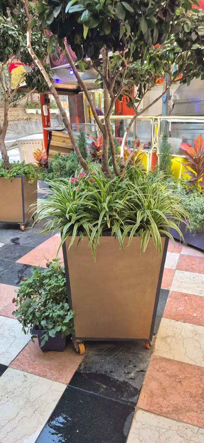 تعدادی کارگر ساده و ماهر رستوران|استخدام خدمات فروشگاه و رستوران|تهران, دربند|دیوار