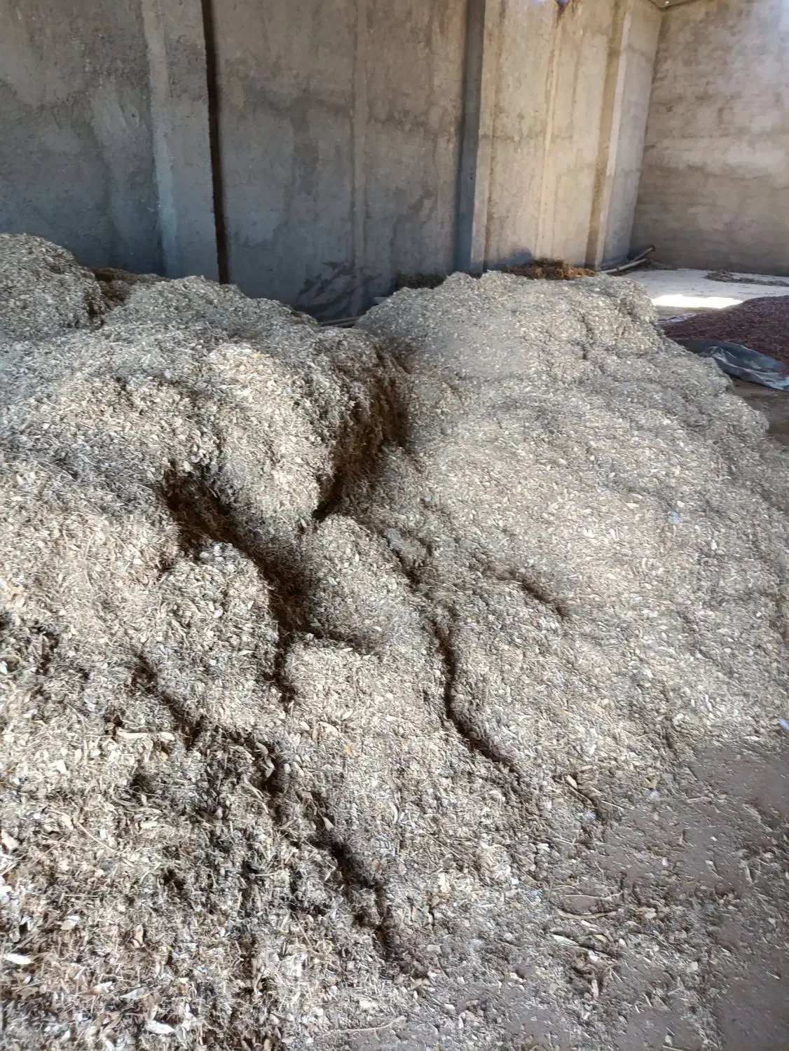 خریدار کاه لوبیا|خدمات باغبانی و درختکاری|دهگلان, |دیوار