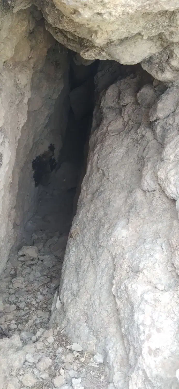 تقریبا سه کیلو عسل طبیعی اصل اصل کیلو ۳۵۰۰|خوردنی و آشامیدنی|لیکک, |دیوار