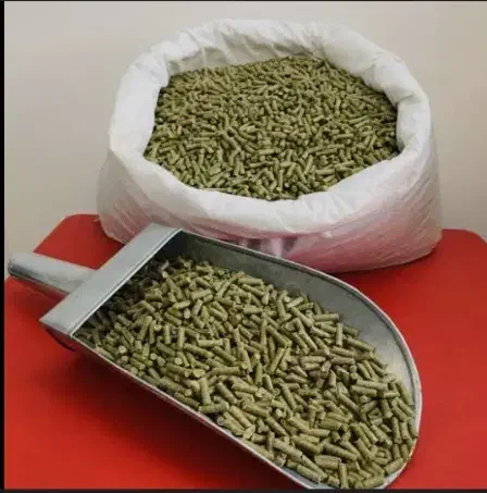 همستر|موش و خرگوش|مشگین شهر, |دیوار