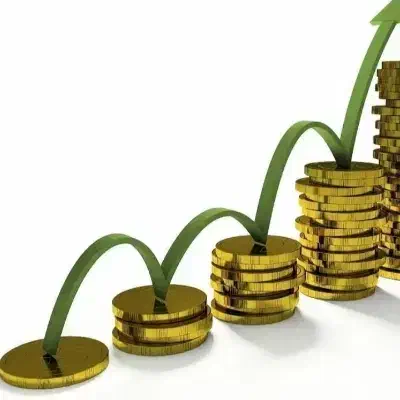 نیازمند سرمایه با سود معقول|خدمات مالی، حسابداری، بیمه|اصفهان, شاهزید|دیوار