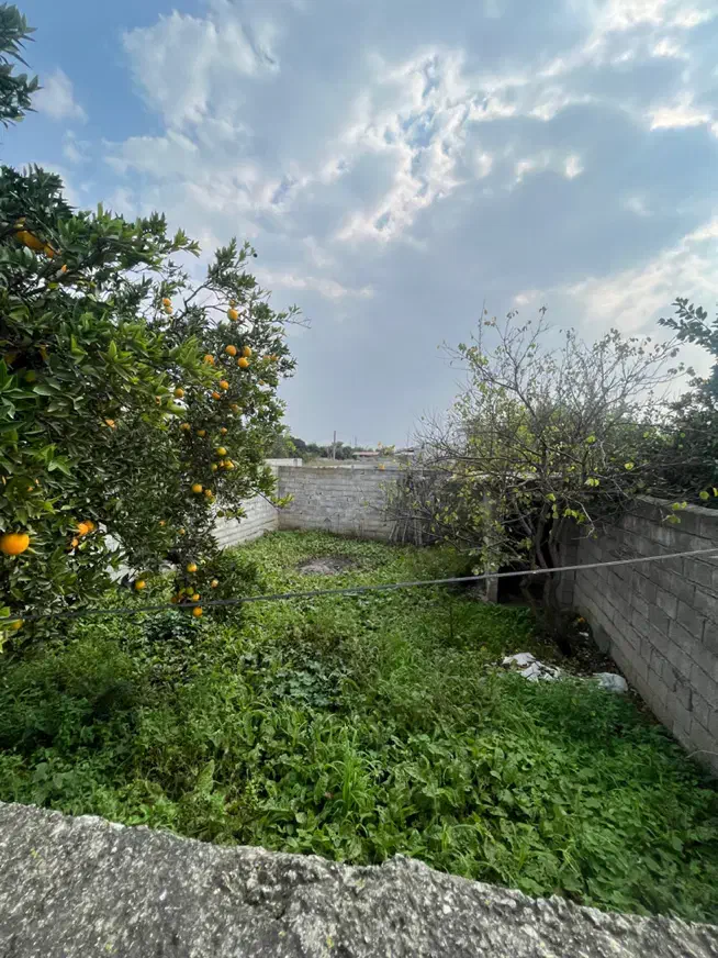 فروش زمین مسکونی روستای ۱۰۰ متری با سندتک برگ|فروش زمین و ملک کلنگی|کیاکلا, |دیوار