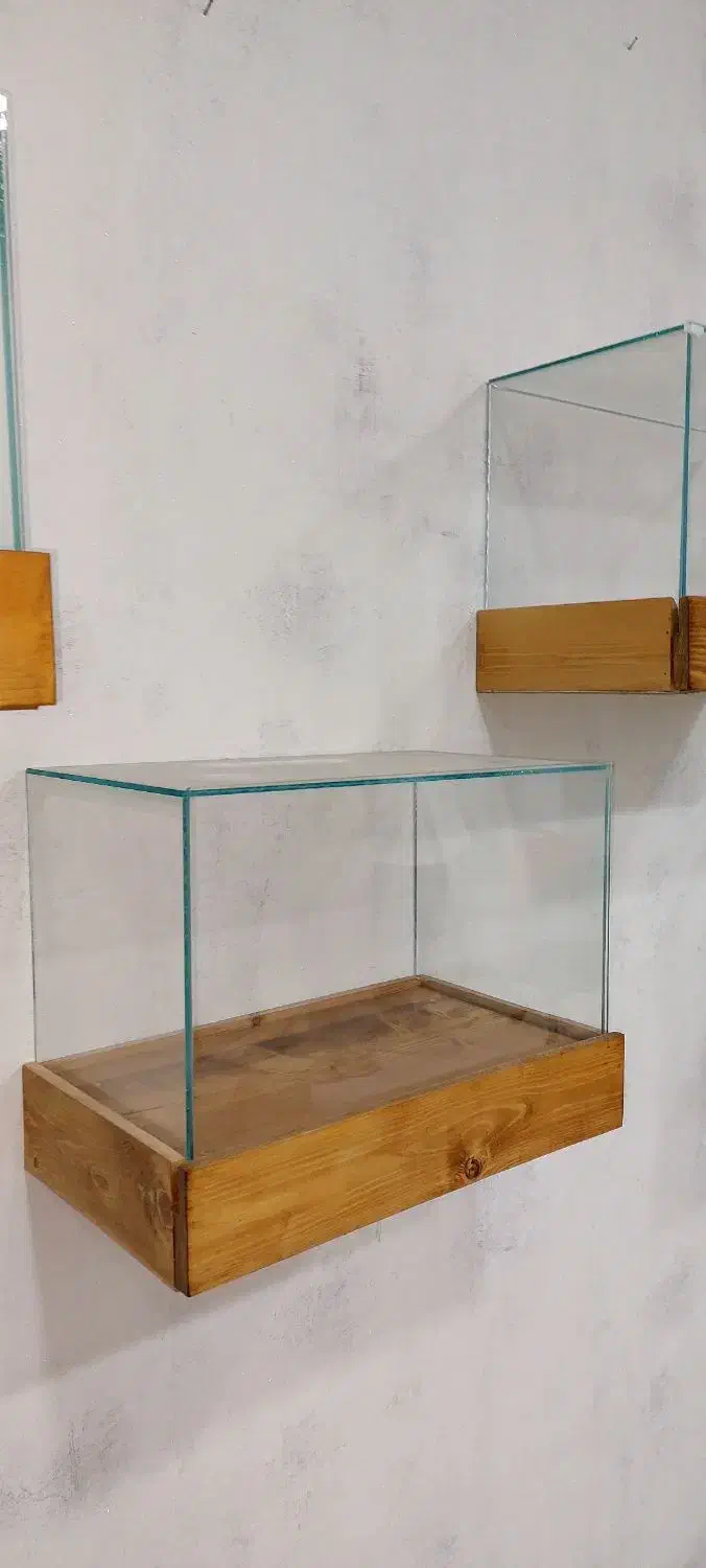 باکس دیواری چوبی|کتابخانه، شلف، قفسههای دیواری|شیراز, تندگویان|دیوار