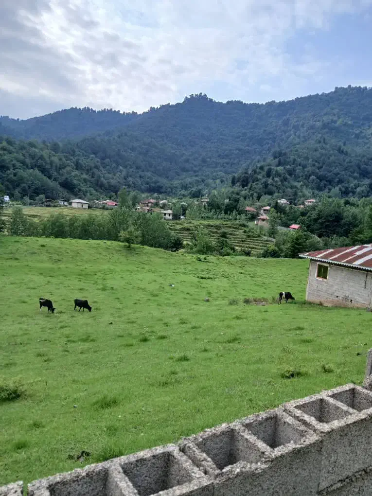 فروش زمین و ملک های به قیمت واقعی گوراب مبین بالو|فروش زمین و ملک کلنگی|گوراب زرمیخ, |دیوار