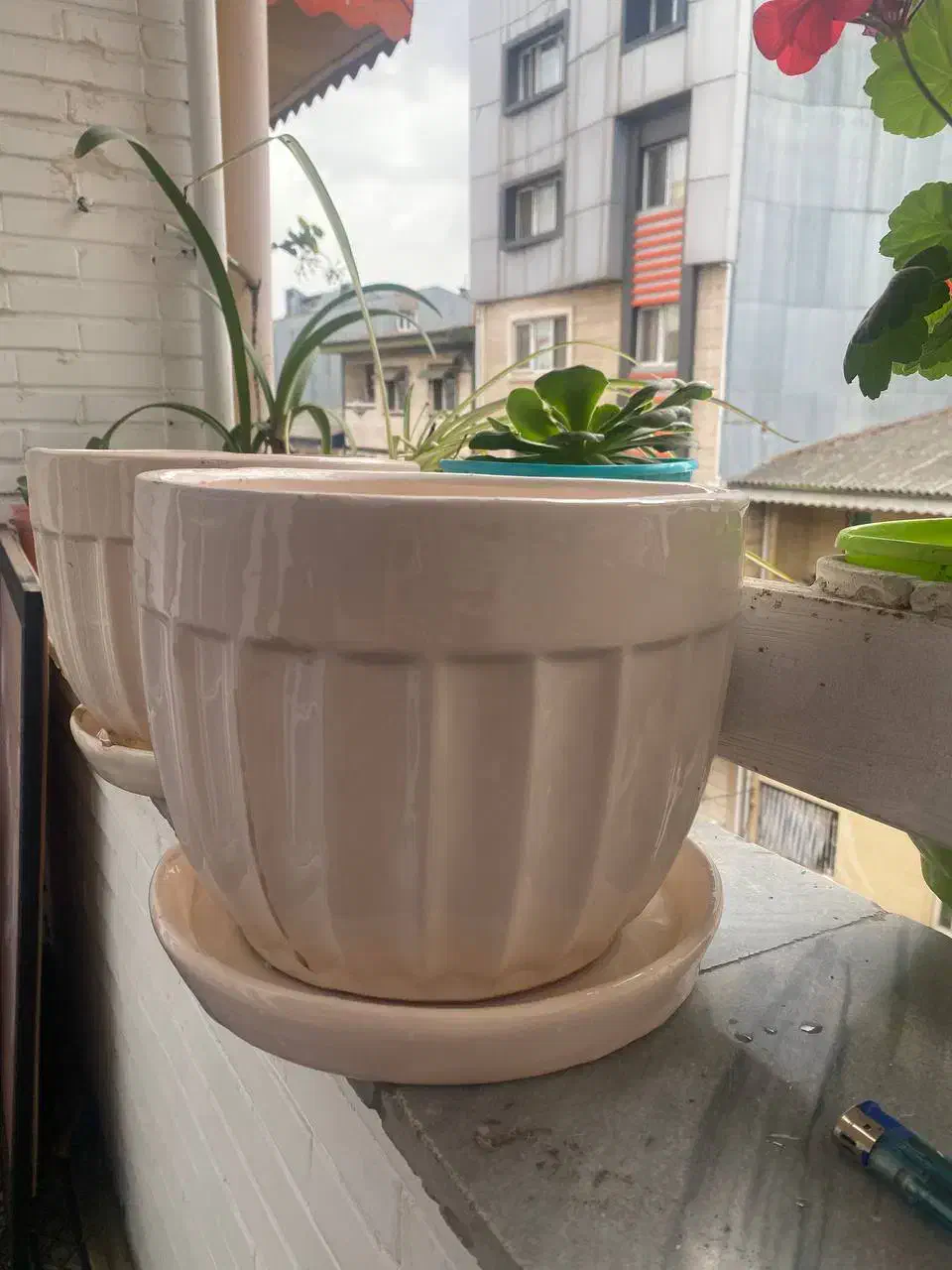 گلدان سرامیکی|گل و گیاه طبیعی|رشت, گلسار|دیوار