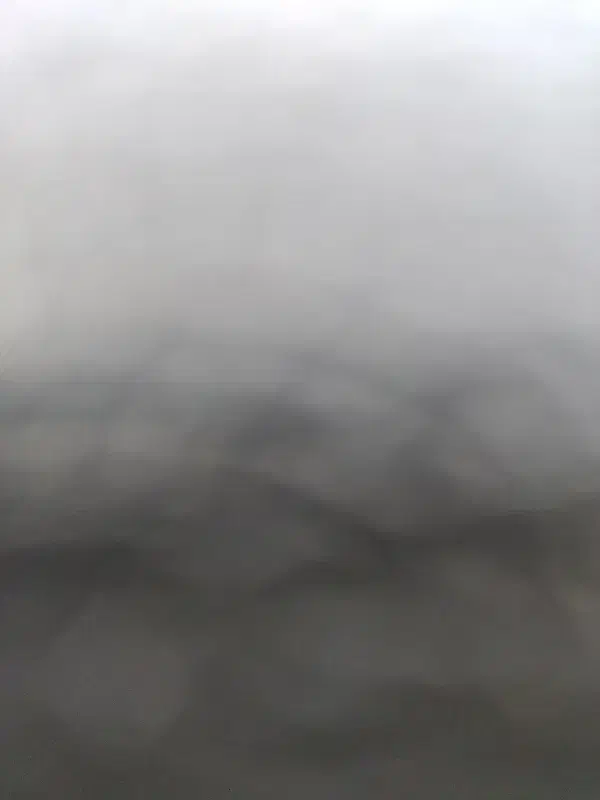 تخم غاز نطفه دار|حیوانات مزرعه|ساری, |دیوار