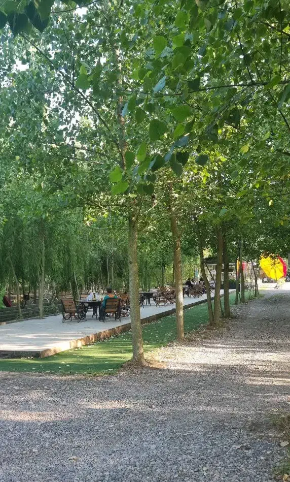 امروز ویلا نخری،فردا گرون تره|فروش خانه و ویلا|شال, |دیوار