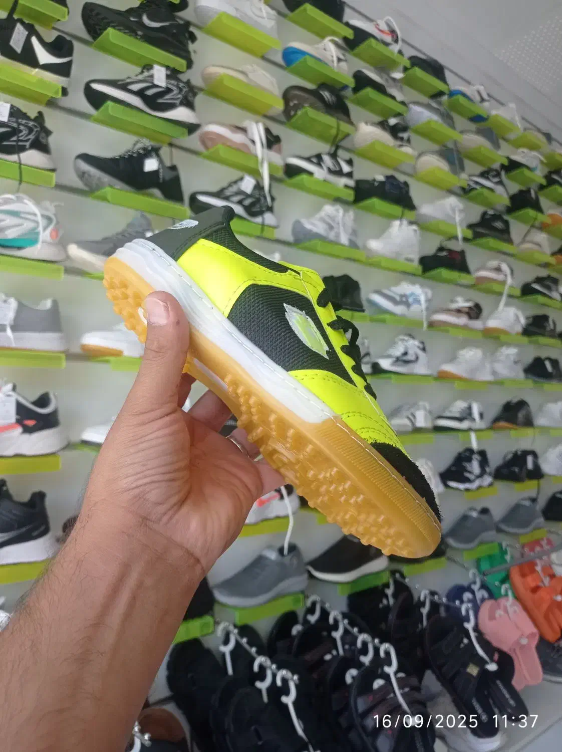 کفش سالن 248|کیف، کفش، کمربند|بیرجند, |دیوار