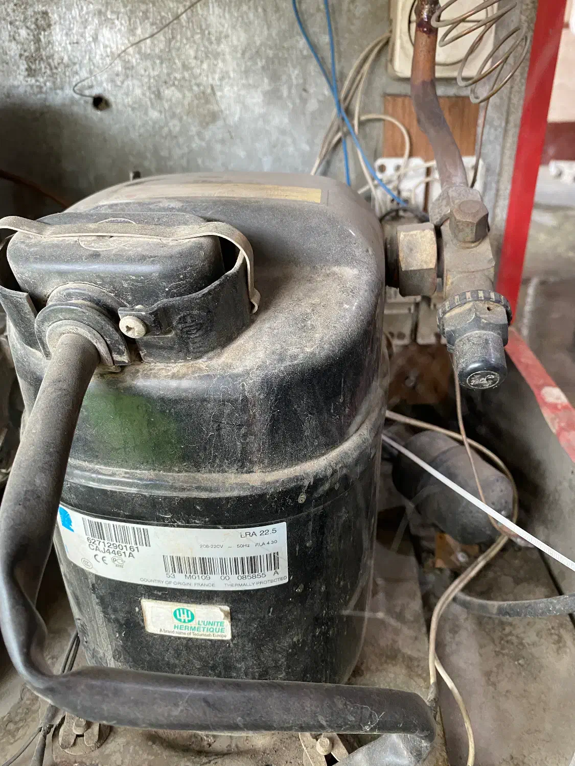 یخچال فروشگاهی سالم|یخچال و فریزر|ماسال, |دیوار