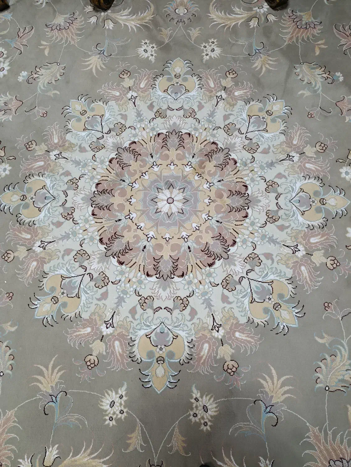 فرش پاتریس 12متری|فرش|الیگودرز, |دیوار