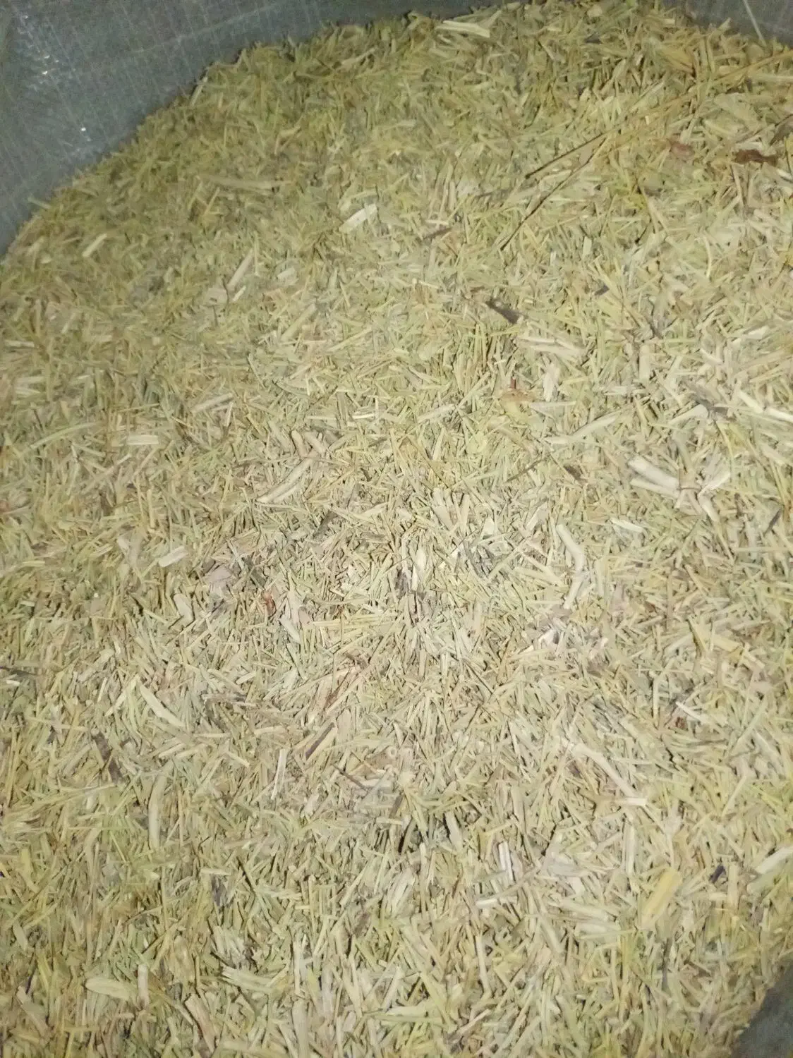 خار نرم|عمده‌فروشی|رضویه, |دیوار