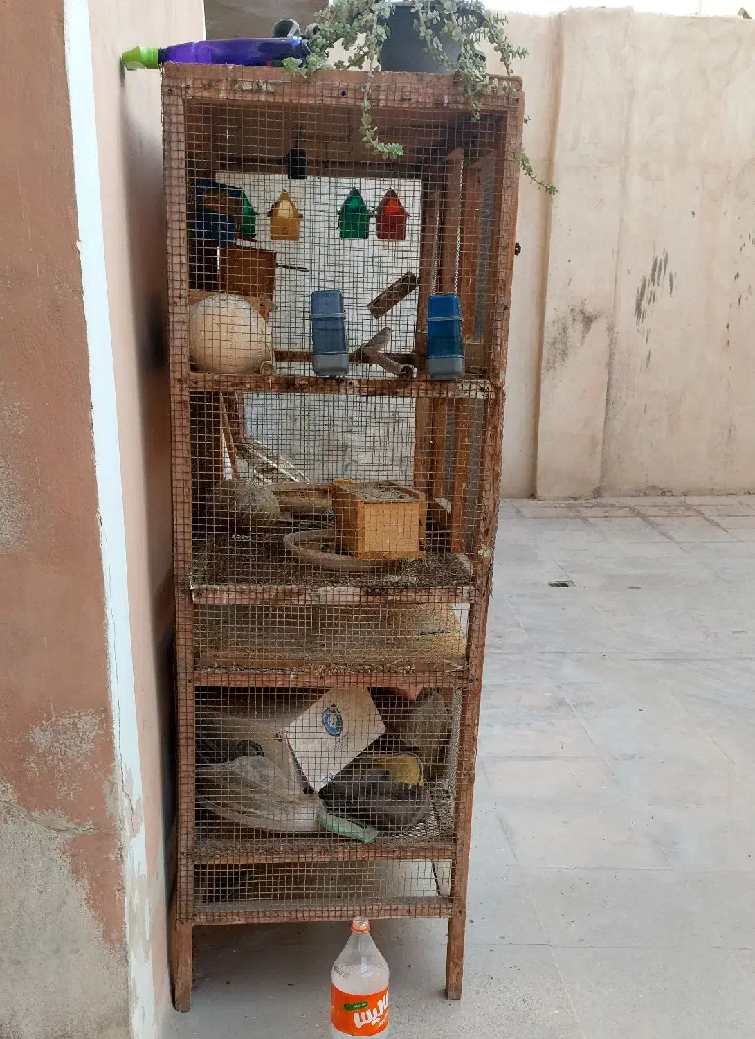 قفس پرنده در بندرلنگه|لوازم جانبی حیوانات|بندرلنگه, |دیوار