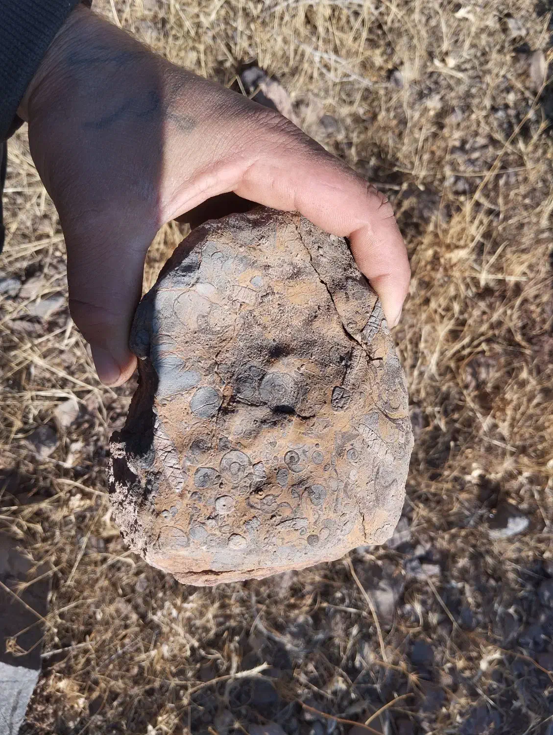 سنگ عتیقه|کلکسیون اشیاء عتیقه|ابهر, |دیوار