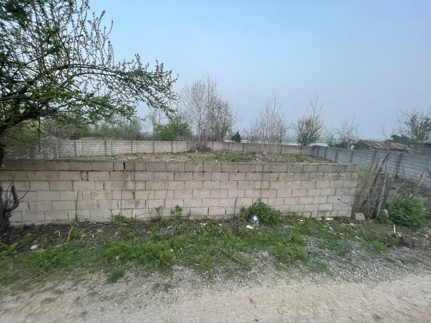 فروش زمین مسکونی ۴۷۵ متر|فروش زمین و ملک کلنگی|شاندرمن, |دیوار