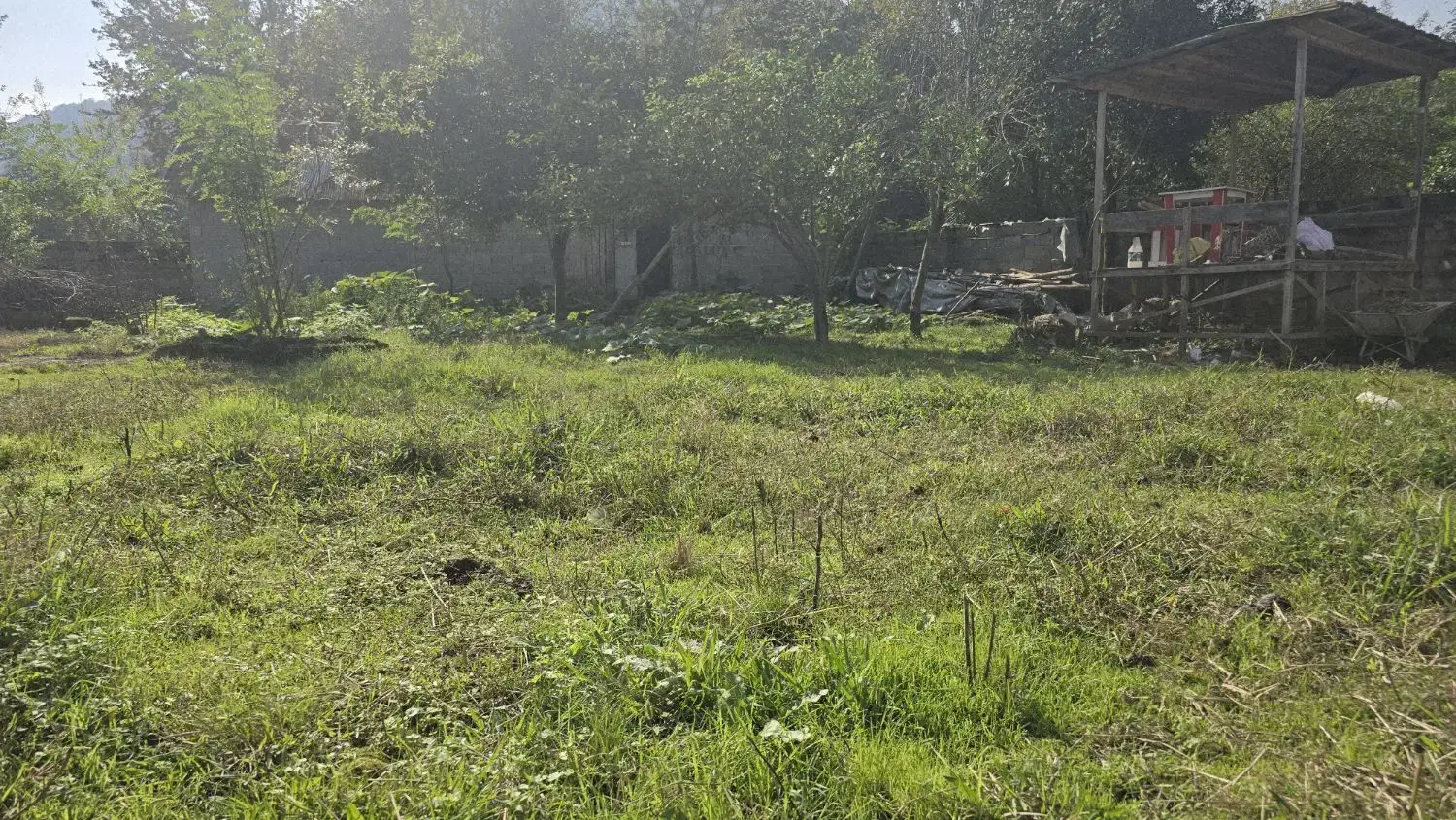 زمین به متراژ ۵۰۰ متر ماسال|فروش زمین و ملک کلنگی|شاندرمن, |دیوار