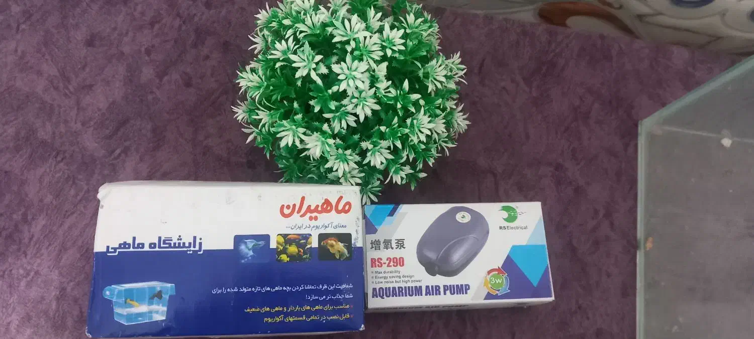 اکواریوم|ماهی|تربتحیدریه, فرمانداری|دیوار