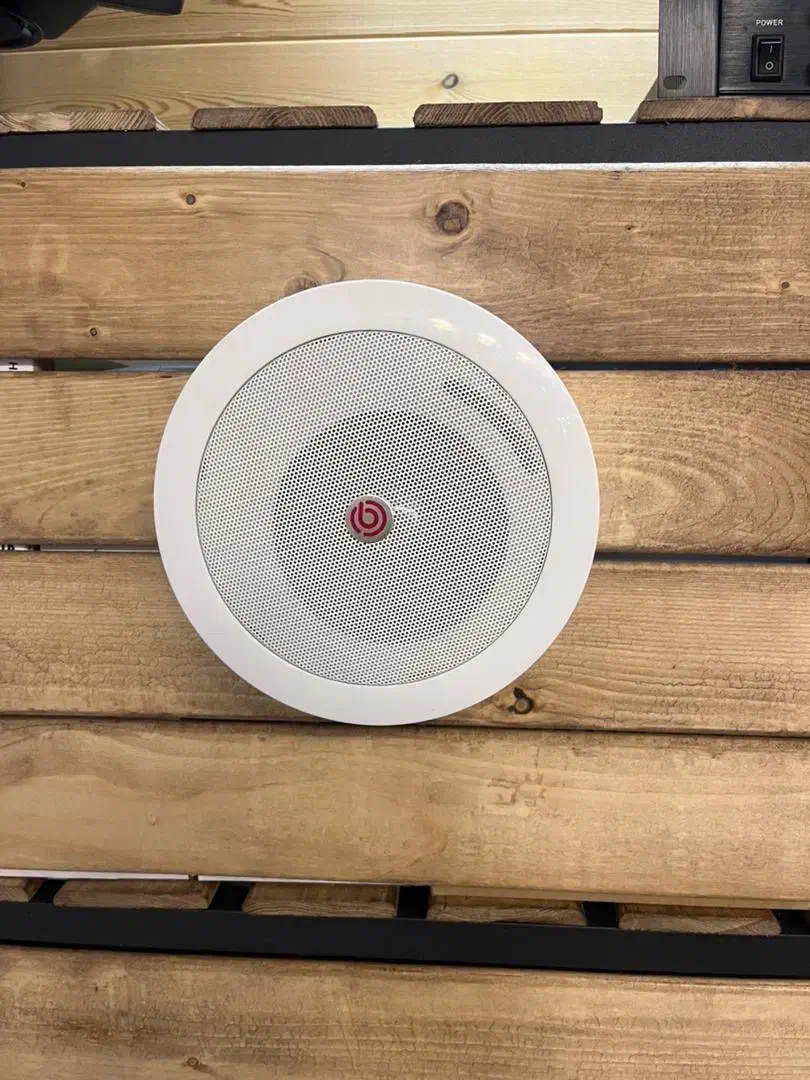 اسپیکر سقفی دیواری توکار و روکار|سیستم صوتی خانگی|تهران, فردوسی|دیوار