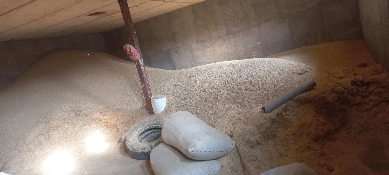 کاه آبی و دیم فله تمیز عالی|حیوانات مزرعه|الشتر, |دیوار