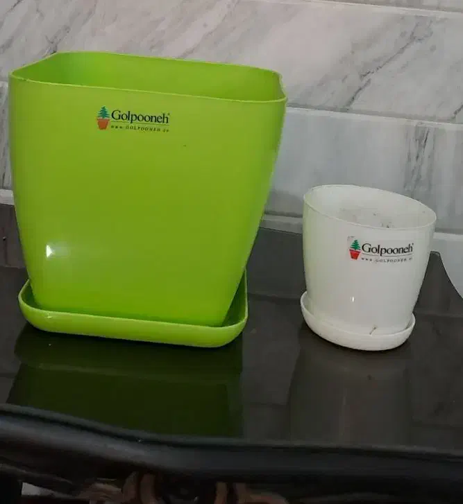 گلدان|گل و گیاه طبیعی|قم, هفت تیر|دیوار