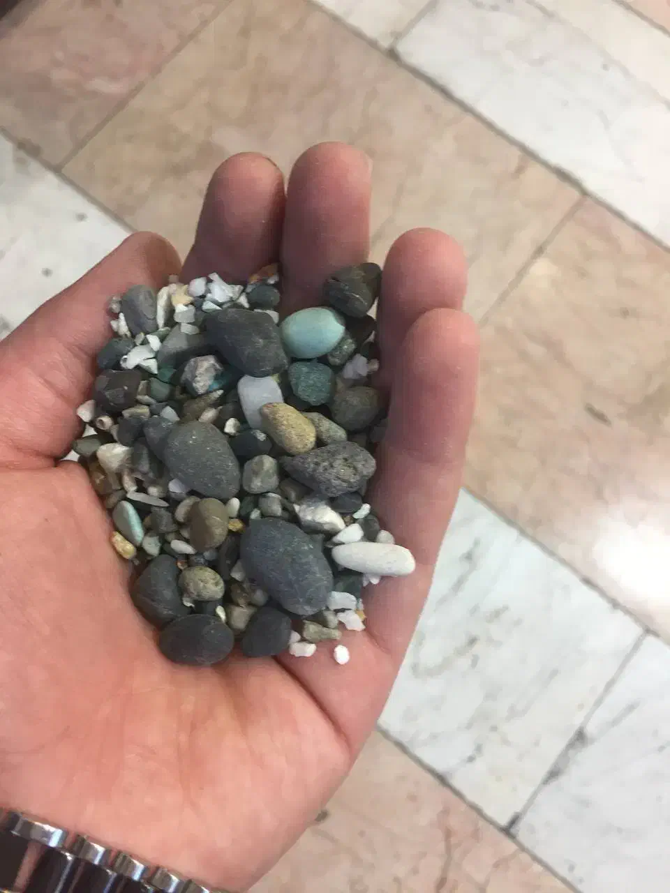 آکواریوم سالم و قیمت مناسب|ماهی|تهران, جوادیه تهرانپارس|دیوار