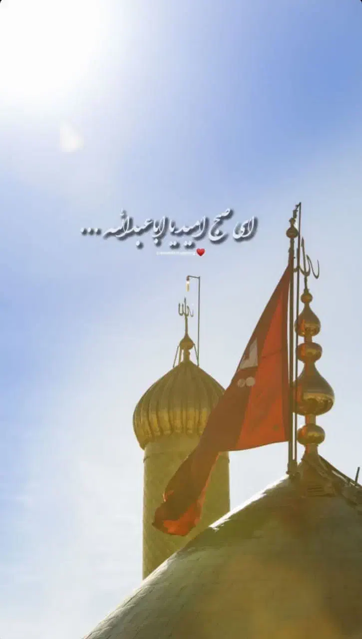 ملی گلد هدیه رایگان|کارت هدیه و تخفیف|جعفرآباد, |دیوار