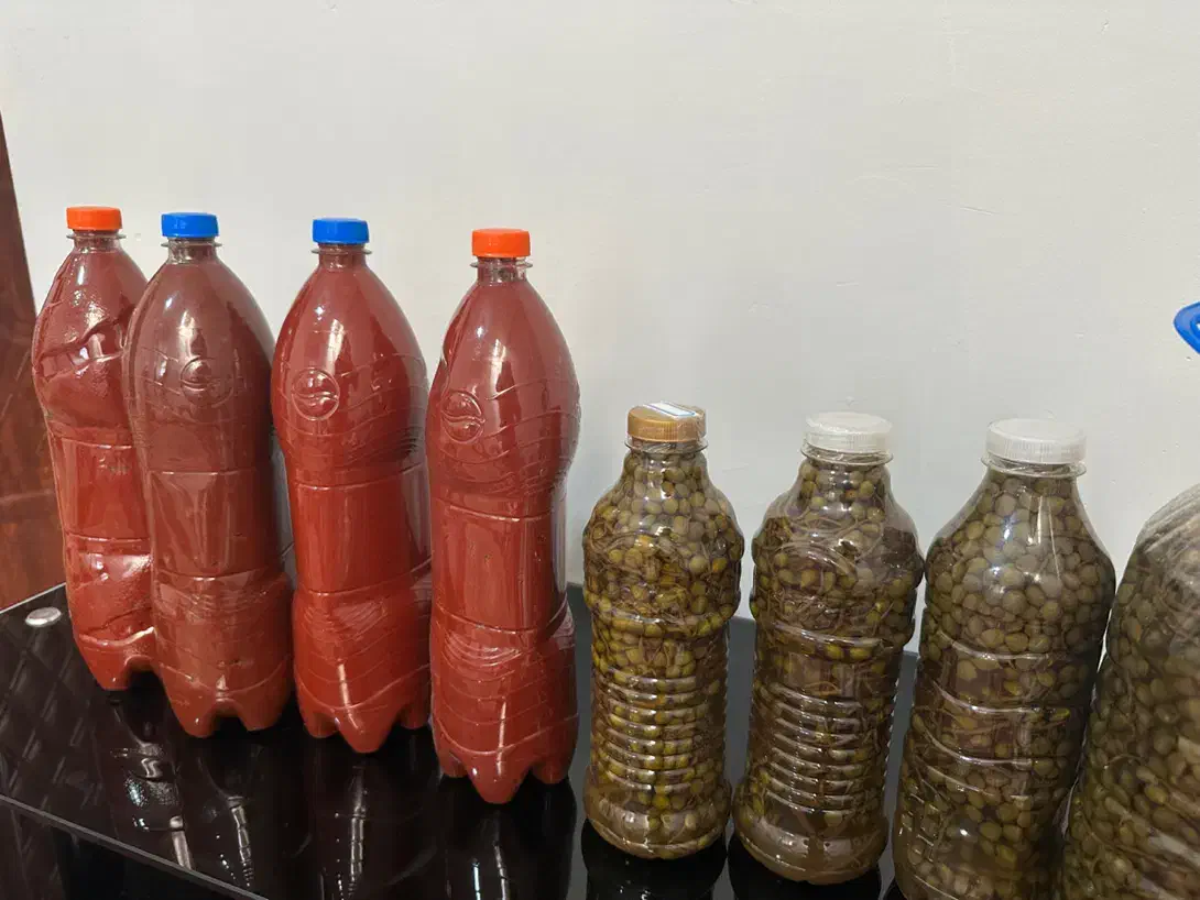 رب گوجه ارگانیک خانگی و ترشی بنه|خوردنی و آشامیدنی|شیراز, شهرک فرهنگیان|دیوار