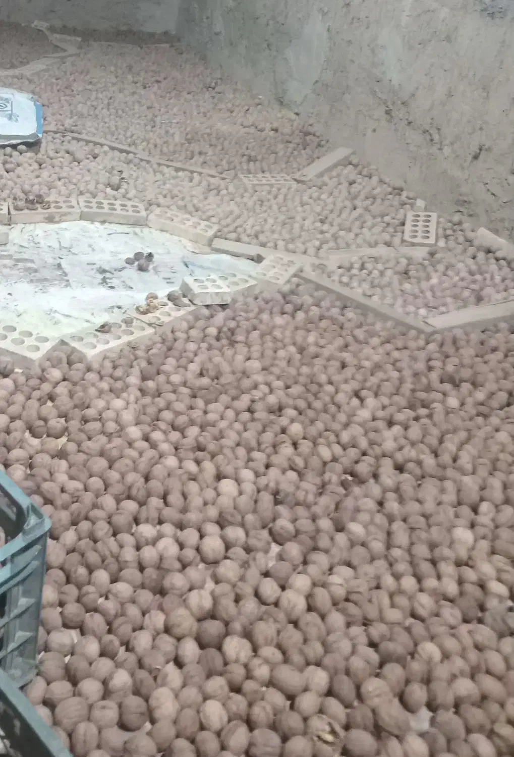 گردو|خوردنی و آشامیدنی|خوانسار, |دیوار