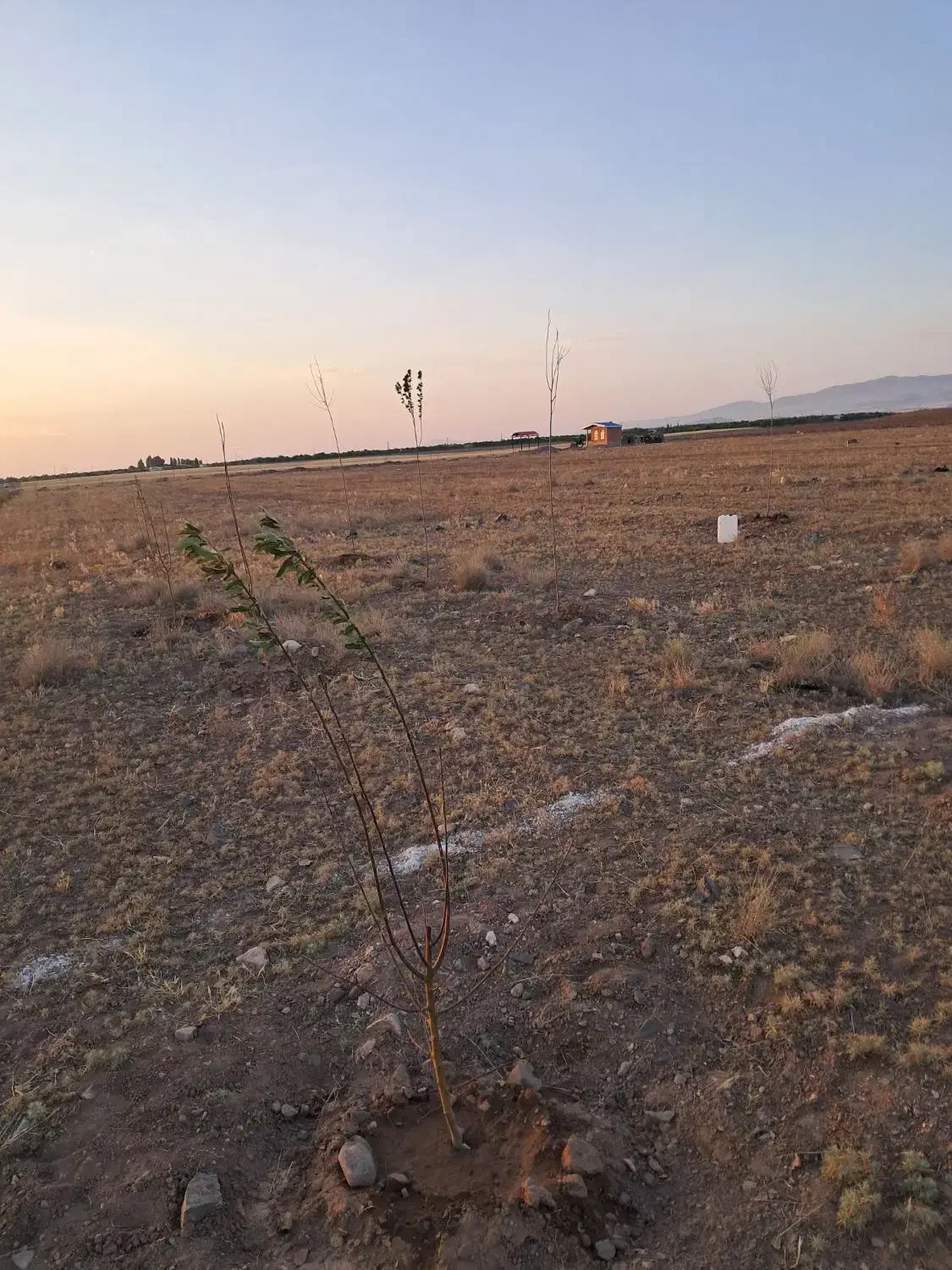 فروش زمین باغی توافقی فرودگاه|فروش زمین و ملک کلنگی|قره پشتلو, |دیوار