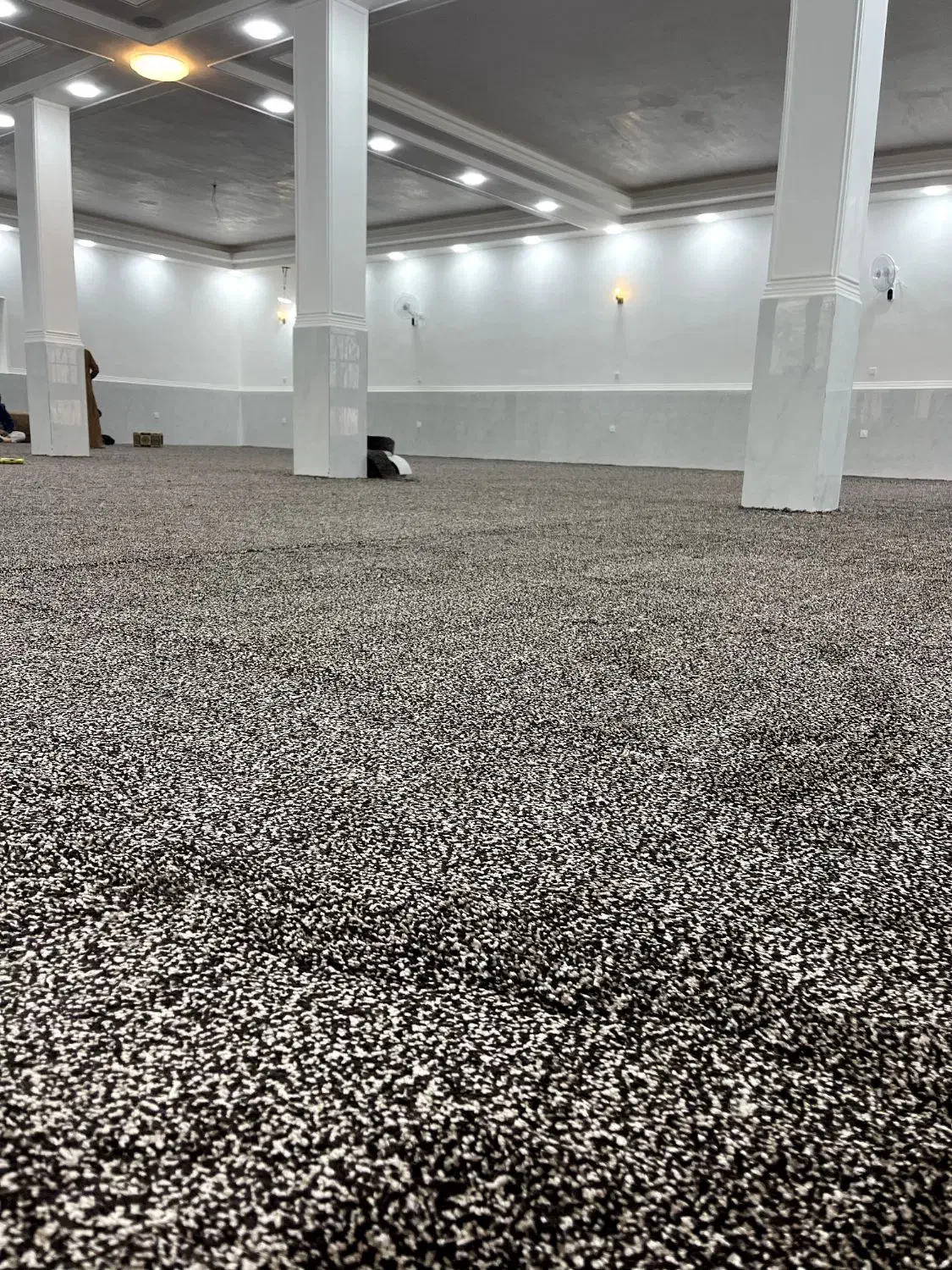 موکت شگی الگانس|موکت|اهواز, دغاغله|دیوار