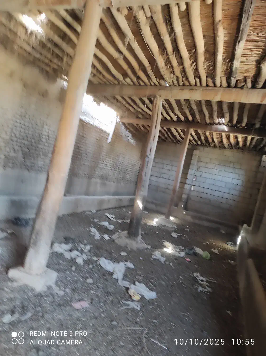 فروش و اجاره دامداری به متراژ 1000متر|اجارهٔ دفتر صنعتی، کشاورزی، تجاری|میاندوآب, |دیوار