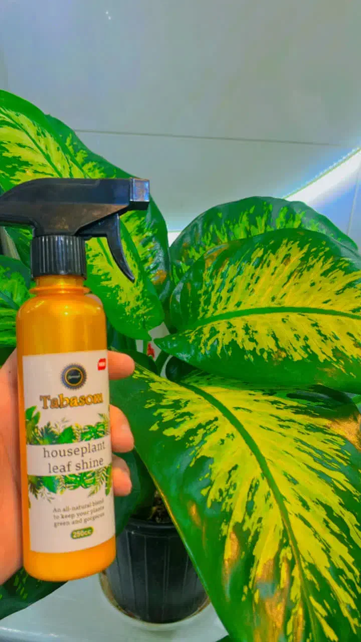 اسپری تمیز کننده گل|گل و گیاه طبیعی|قم, محمد آباد|دیوار