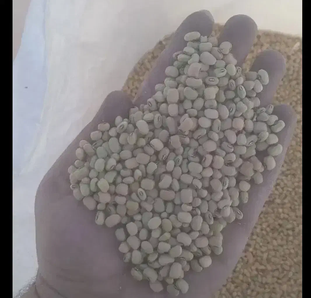 فروش ۳۰۰کلیو لوبیا آشی و ۲۰۰کیلو لوبیا چش بلبلی|عمده‌فروشی|دره شهر, |دیوار