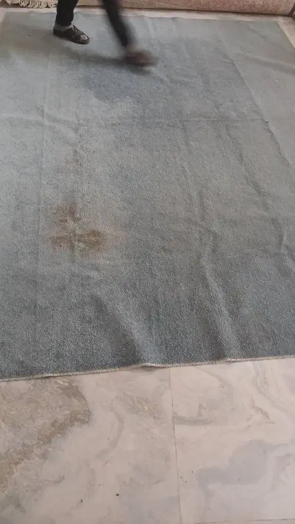 پالاز موکت|موکت|قرچک, شهرک طلائیه|دیوار