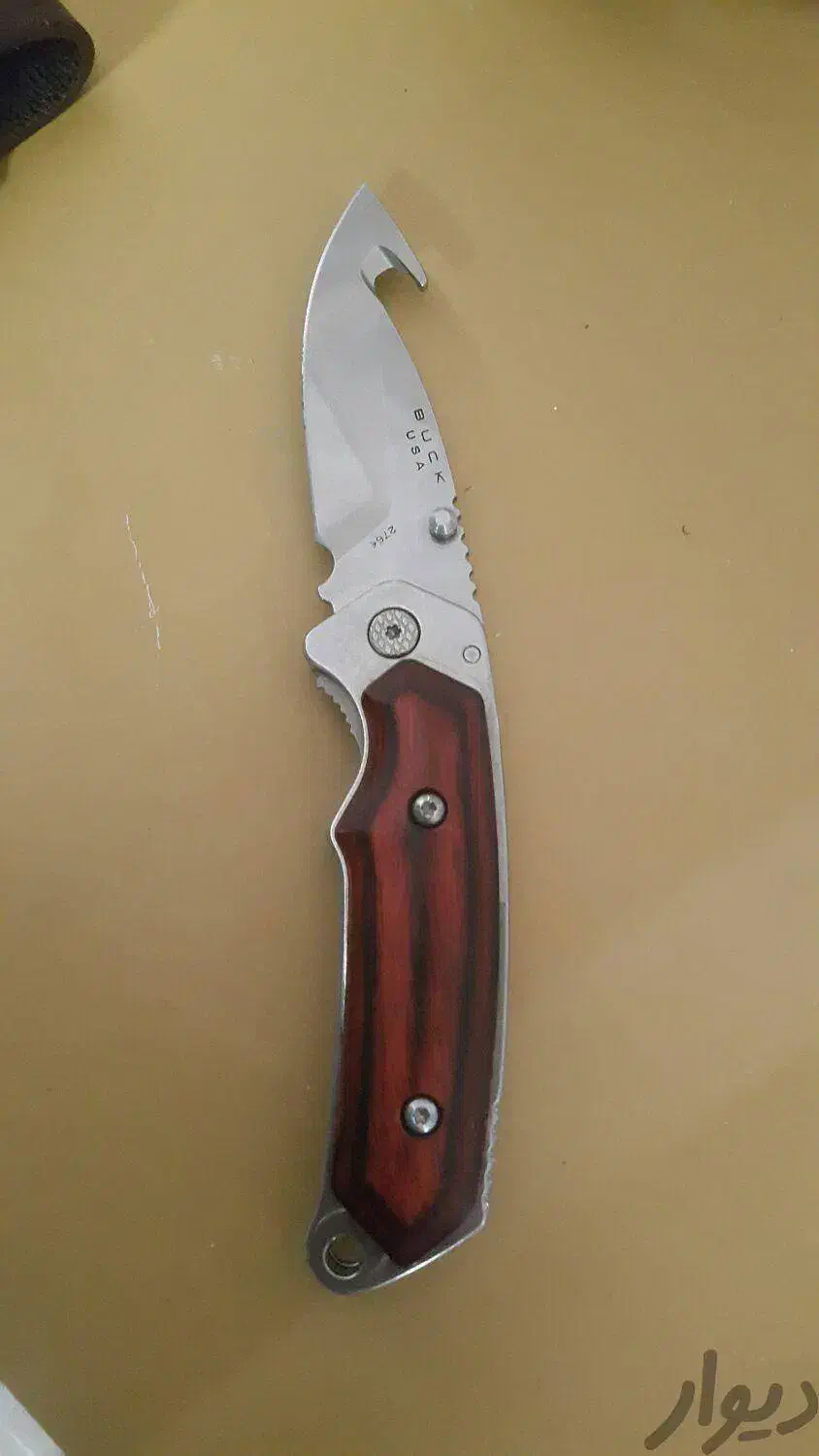 تیزکاری چاقو و کارد و اره|کوهنوردی و کمپینگ|نیشابور, پاستور|دیوار