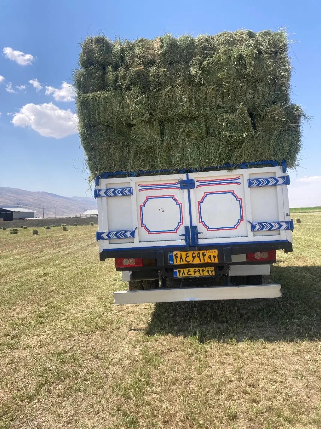 یونجه قالب انباری|لوازم جانبی حیوانات|اصفهان, راه آهن|دیوار