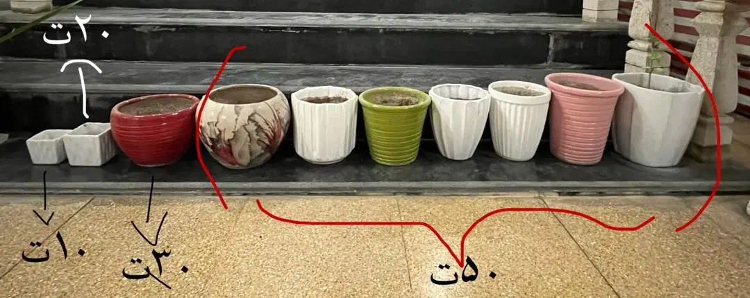 گلدان سرامیکی|گل و گیاه طبیعی|برازجان, |دیوار