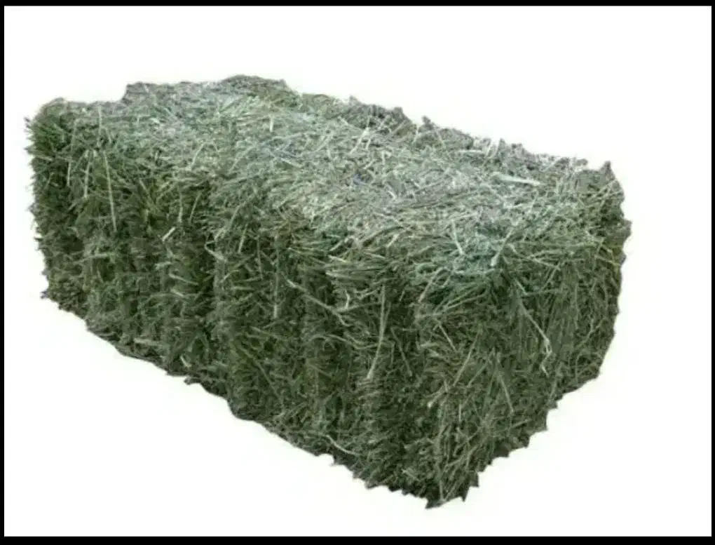 یونجه خشک انباری|لوازم جانبی حیوانات|نهاوند, |دیوار