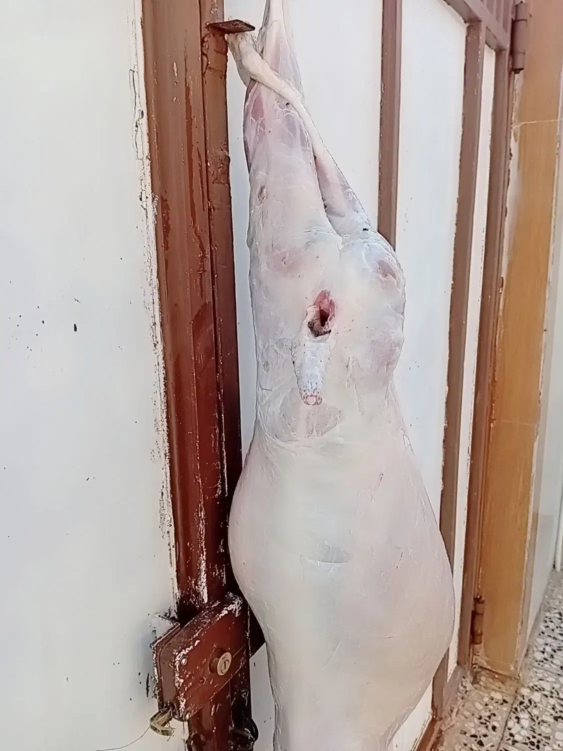 قصاب سیارشبانه روزی|خدمات پذیرایی، مراسم|اندیمشک, |دیوار