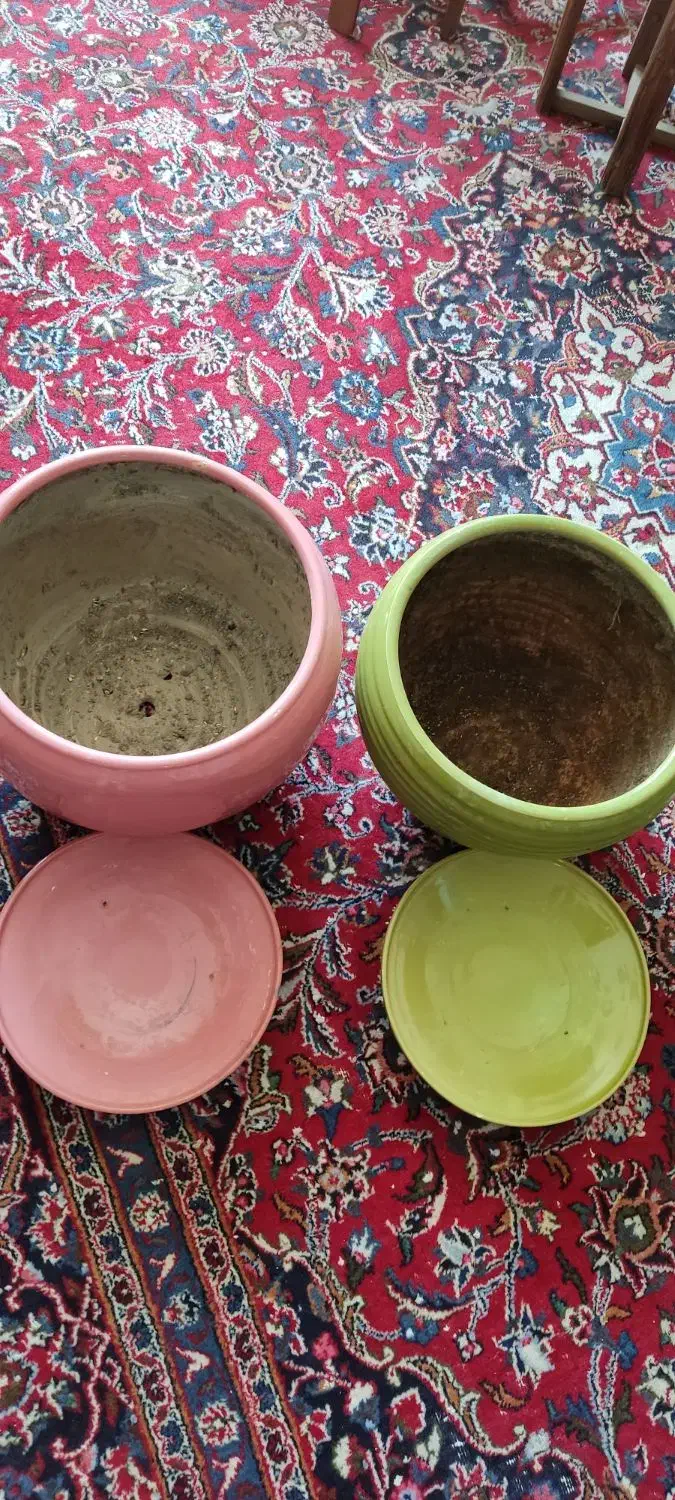 گلدان سفالی سایز بزرگ|گل و گیاه طبیعی|کرمان, |دیوار