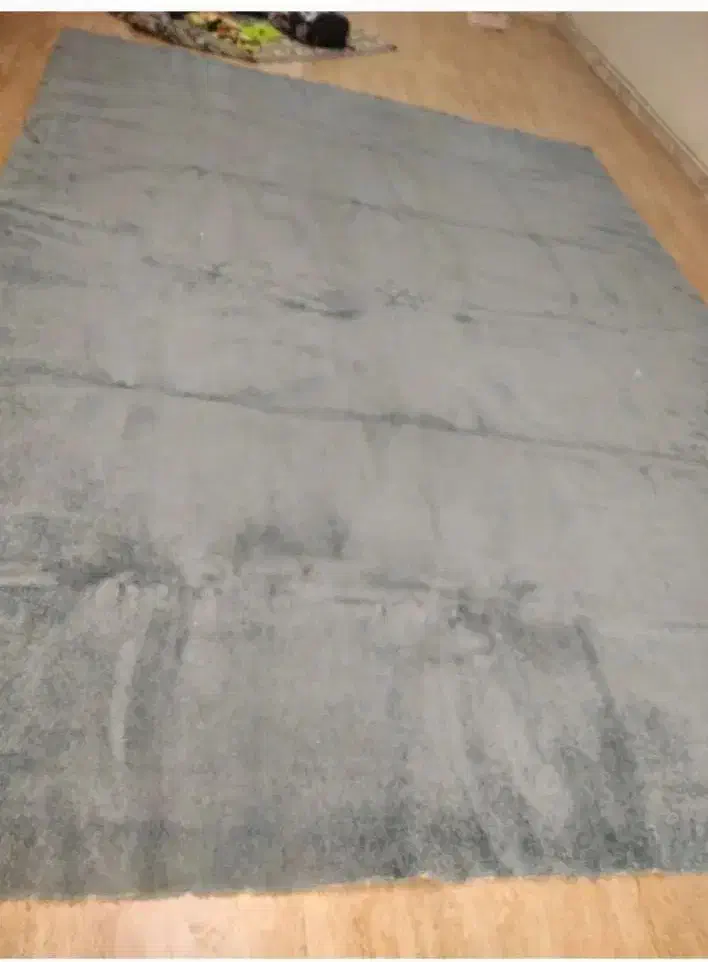 موکت پالاز|موکت|همدان, |دیوار