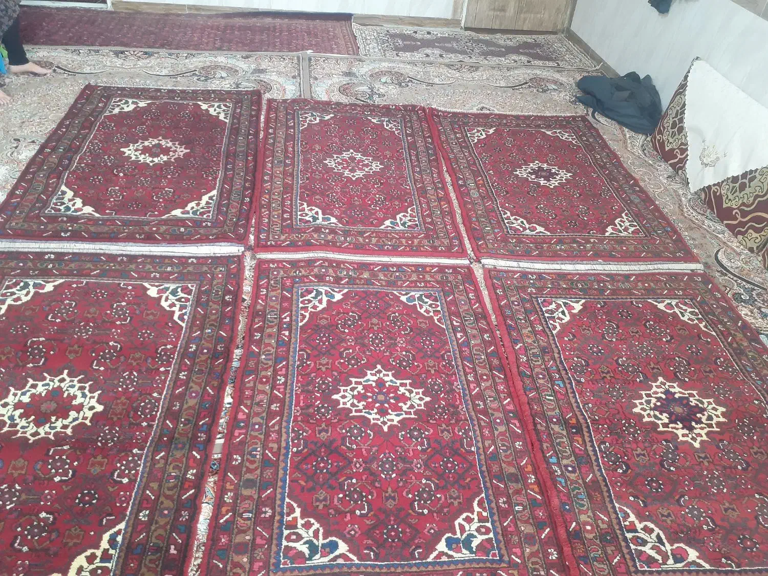 قالی دست بافت|فرش|شراء, |دیوار