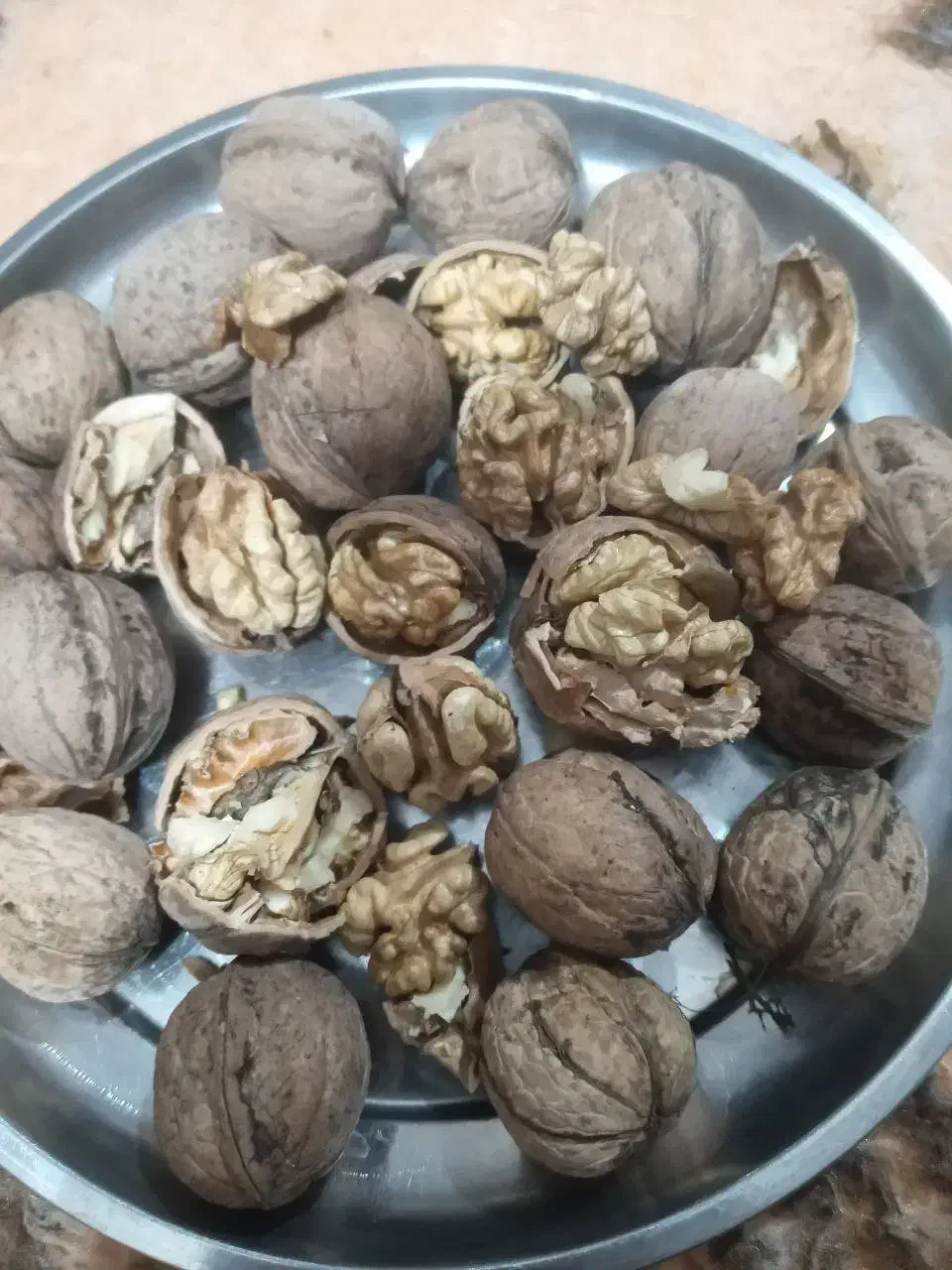 گردو ی زنوز|خوردنی و آشامیدنی|مرند, |دیوار