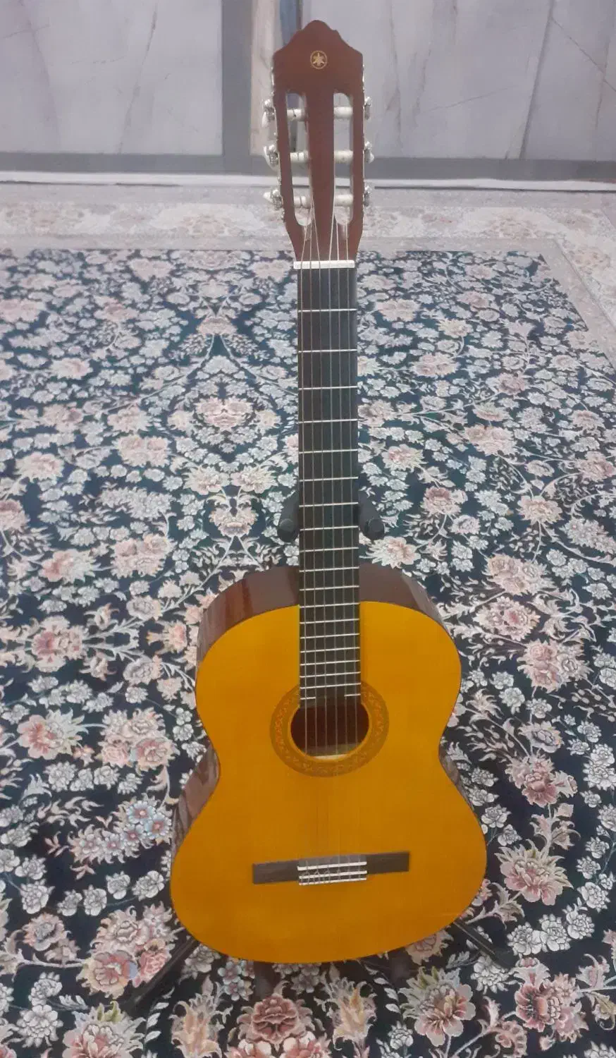 گیتار|گیتار، بیس، امپلیفایر|الیگودرز, |دیوار