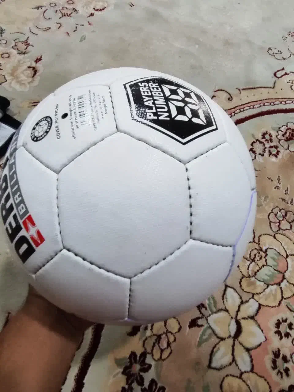 سایز ۵ استار|ورزش‌های توپی|قم, حقیقت|دیوار