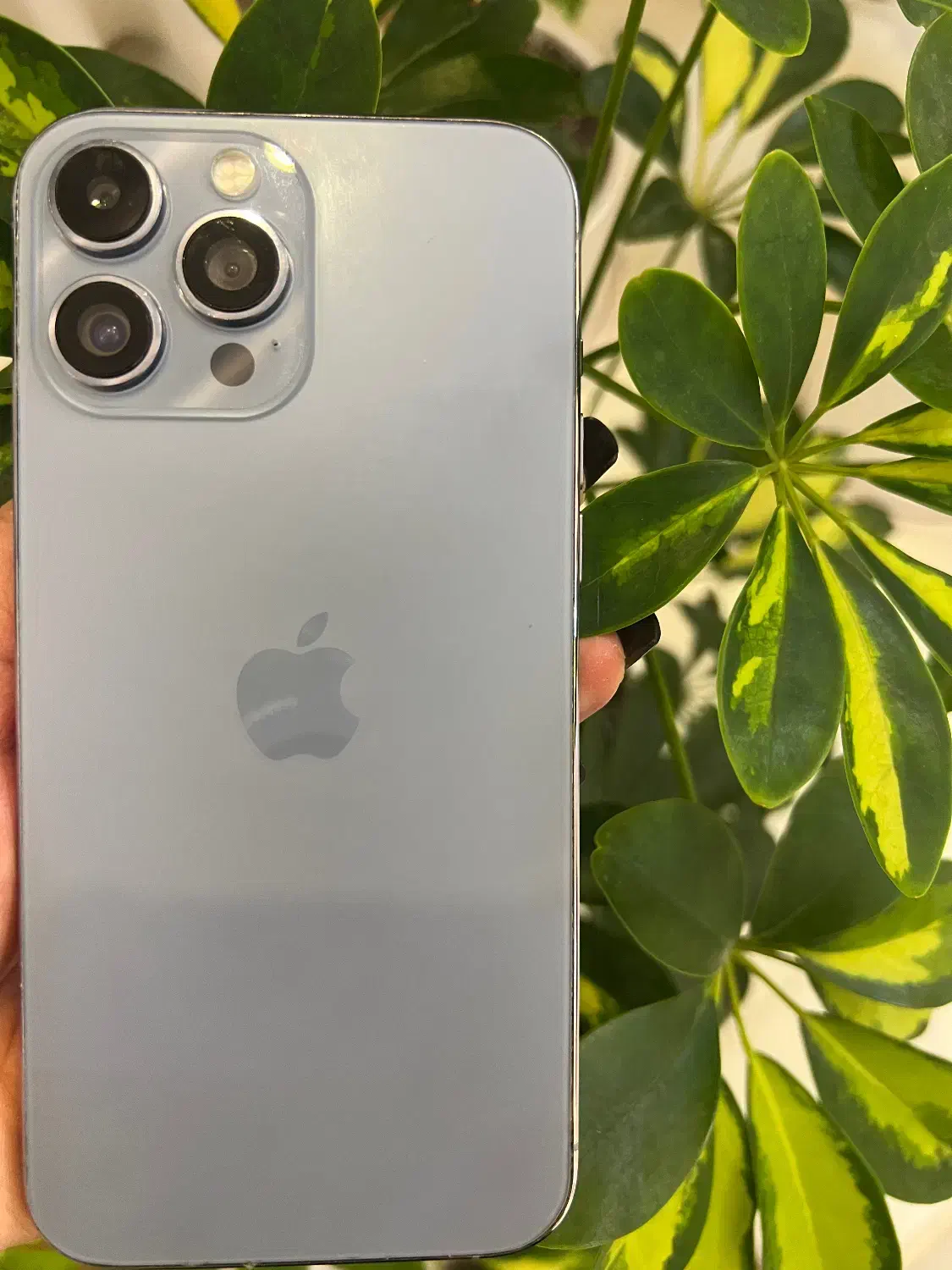 ایفون ۱۳پرومکس فیک|موبایل|رشت, فلسطین|دیوار