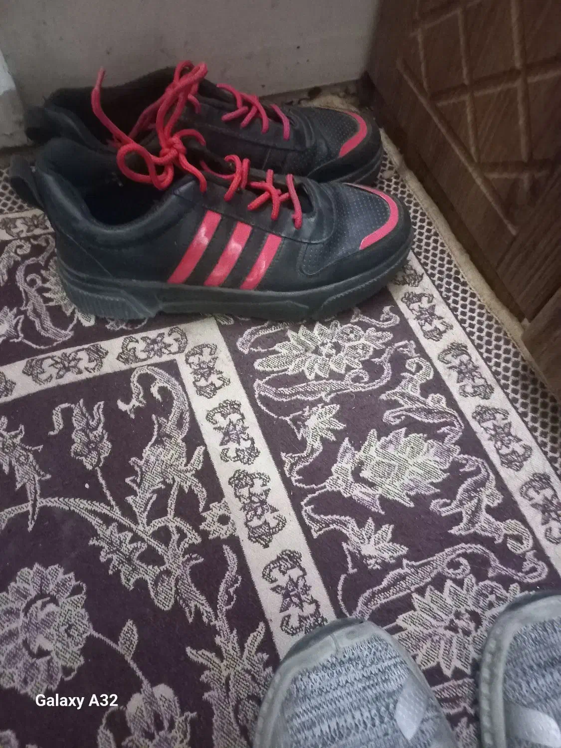 کفش|کیف، کفش، کمربند|گنبد کاووس, |دیوار